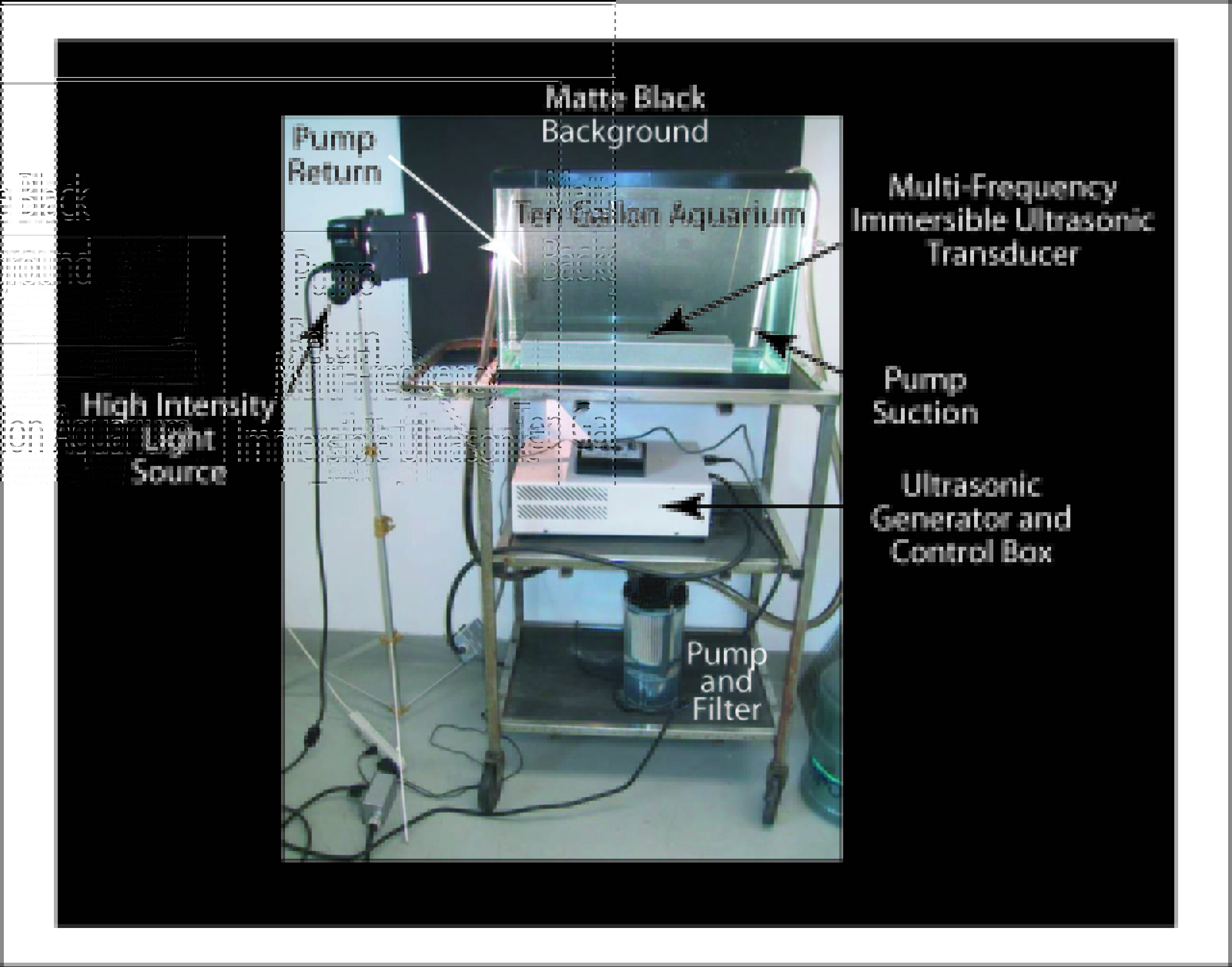 Fish Tank Illustration Illustration of an aquarium with an ultrasonic transducer and lighting to see underwater effects of ultrasonics.
