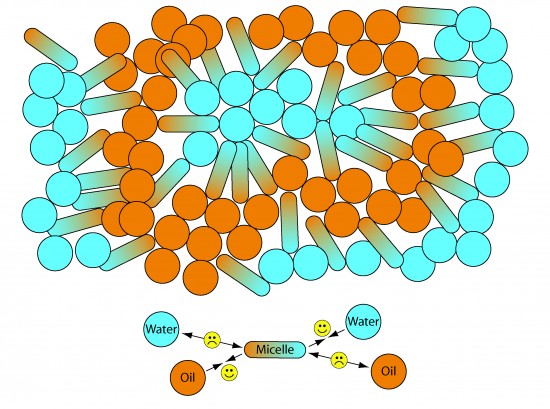 Micelle.ai Illustration showing the activity of Micelles