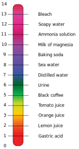 PH_Scale_svg Illustration showing the pH of several common materials